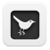 twitter bird3 square